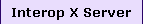 Interop X Server